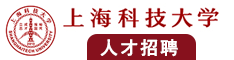 大鸡巴插入骚逼视频