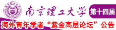 摸屄视频网站南京理工大学第十四届海外青年学者紫金论坛诚邀海内外英才！